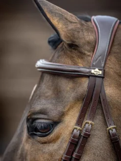 LeMieux Competition Flash Bridle Havana 8 LeMieux Competition Flash Bridle Havana -Fournitures Équestres Boutique brownb3
