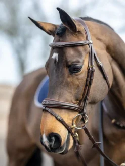 LeMieux Competition Flash Bridle Havana 9 LeMieux Competition Flash Bridle Havana -Fournitures Équestres Boutique brownb4