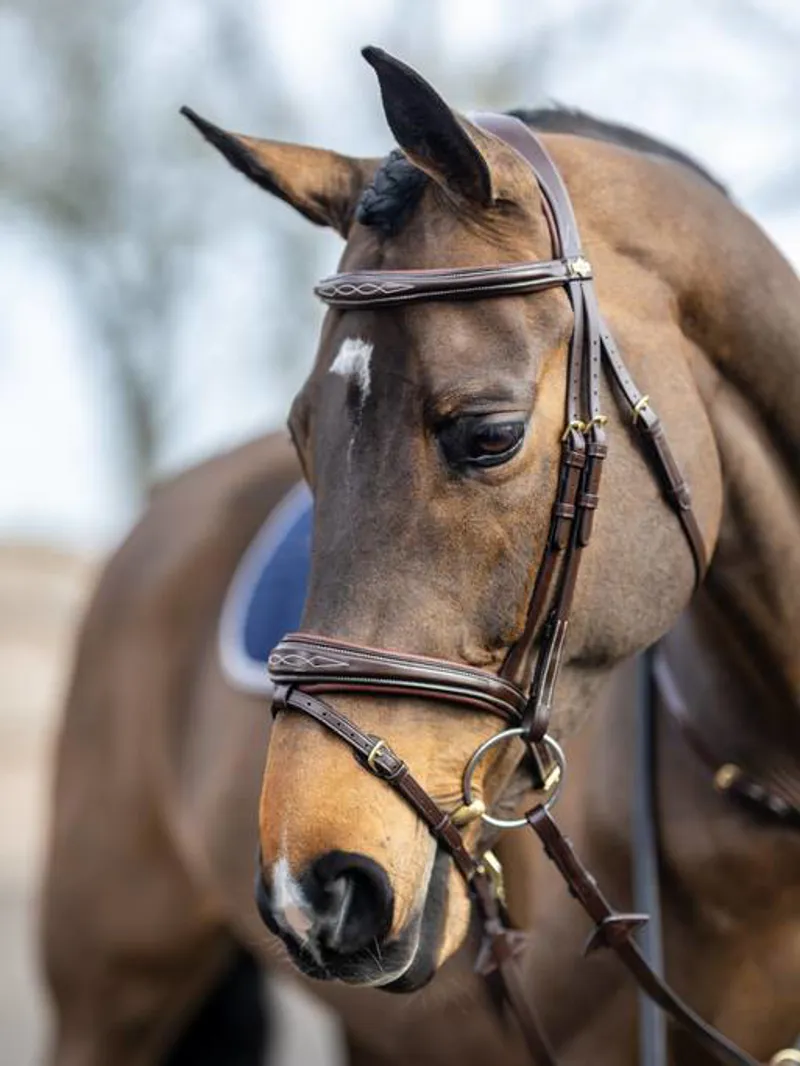 LeMieux Competition Flash Bridle Havana 4 LeMieux Competition Flash Bridle Havana – Image 4