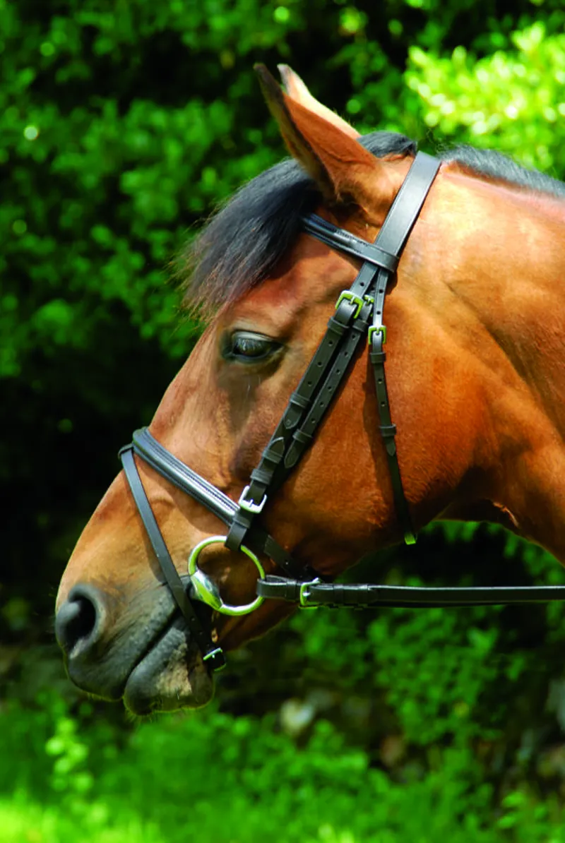 Celtic Equine Classic Bridle Brown 1 Celtic Equine Classic Bridle Brown