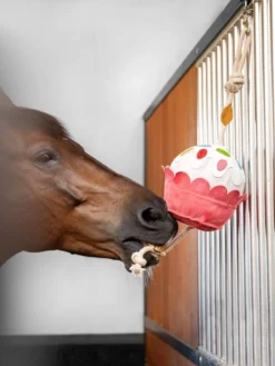 LeMieux Horse Toy Cupcake