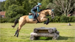 Fournitures Équestres Boutique -Fournitures Équestres Boutique ch2