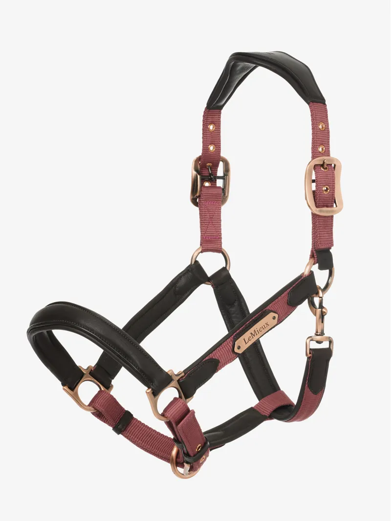 LeMieux Capella Headcollar Orchid 1 LeMieux Capella Headcollar Orchid