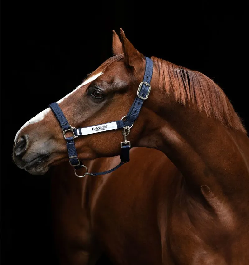 Horseware Field Safe Headcollar Navy 1 Horseware Field Safe Headcollar Navy