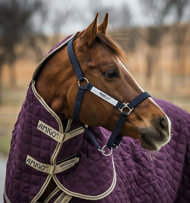 Horseware Field Safe Headcollar Navy 2 Horseware Field Safe Headcollar Navy – Image 2