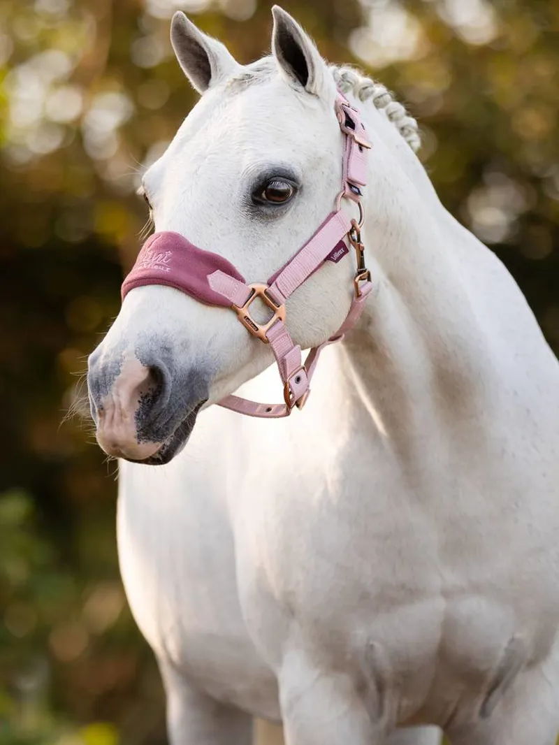 LeMieux Mini Vogue Headcollar And Leadrope Pink Quartz 1 LeMieux Mini Vogue Headcollar And Leadrope Pink Quartz