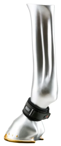 Zandona Superior Air Pastern