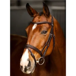 Le Mieux Arika Flash Bridle Brown/Silver