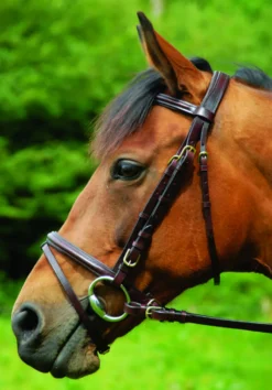 Celtic Equine Comfort Flash Bridle Black