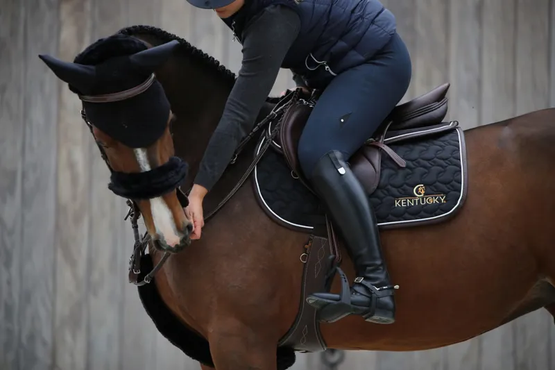 Kentucky Horsewear Kentucky Fly Veil Wellington Black 2 Kentucky Horsewear Kentucky Fly Veil Wellington Black – Image 2