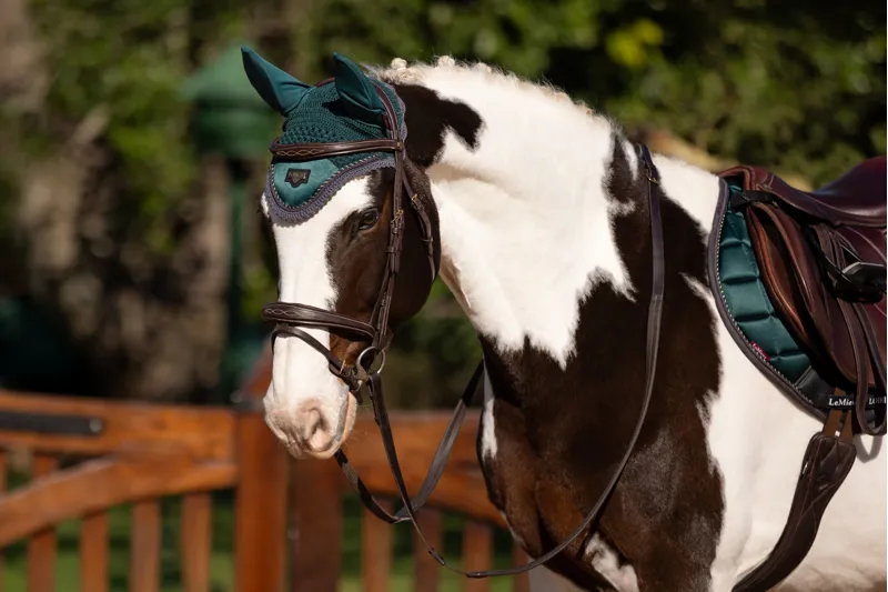 LeMeiux Classic Loire Fly Hood Spruce 1 LeMeiux Classic Loire Fly Hood Spruce