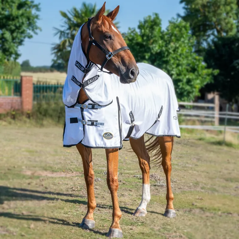 Gallop Classic Combo Fly Rug 1 Gallop Classic Combo Fly Rug