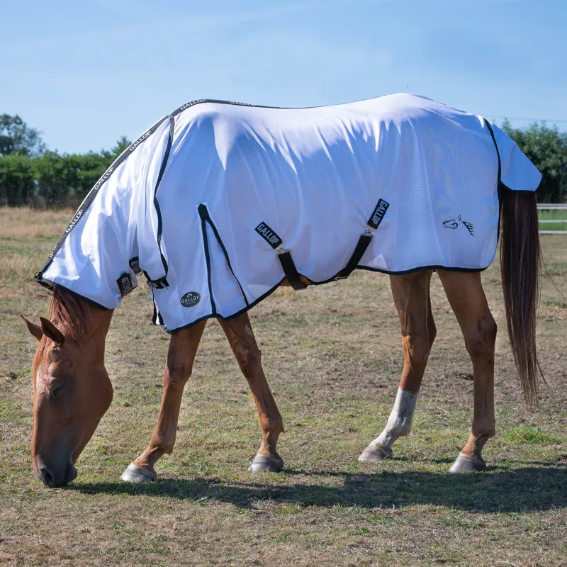 Gallop Classic Combo Fly Rug 2 Gallop Classic Combo Fly Rug – Image 2