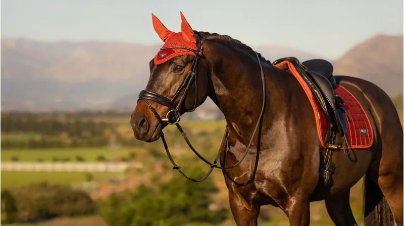 LeMieux Loire Satin Fly Hood Sienna 2 LeMieux Loire Satin Fly Hood Sienna – Image 2