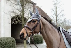 Kentucky Horsewear Kentucky Fly Veil Wellington Basic Velvet Grey 5 Kentucky Horsewear Kentucky Fly Veil Wellington Basic Velvet Grey -Fournitures Équestres Boutique fvg