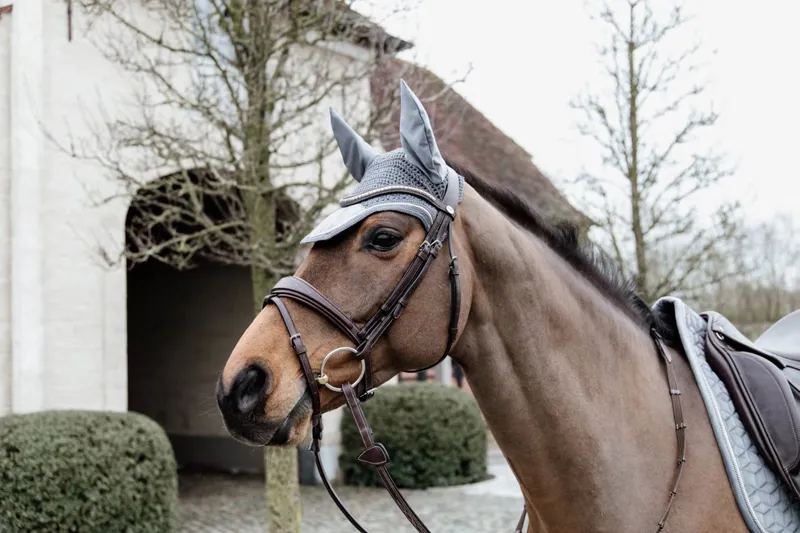 Kentucky Horsewear Kentucky Fly Veil Wellington Basic Velvet Grey 3 Kentucky Horsewear Kentucky Fly Veil Wellington Basic Velvet Grey – Image 3