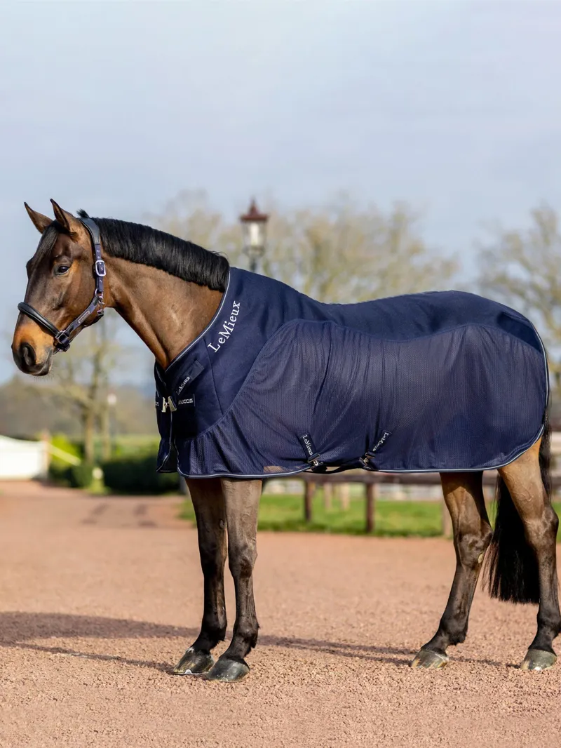 LeMieux Mesh Sports Cooler Rug Navy 1 LeMieux Mesh Sports Cooler Rug Navy