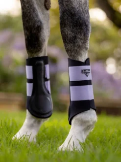 LeMieux Grafter Boots Wisteria -Fournitures Équestres Boutique gbw1