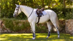 Fournitures Équestres Boutique -Fournitures Équestres Boutique gfm2