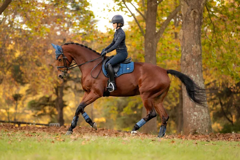 LeMieux Loire Classic GP Square Atlantic 5 LeMieux Loire Classic GP Square Atlantic – Image 5