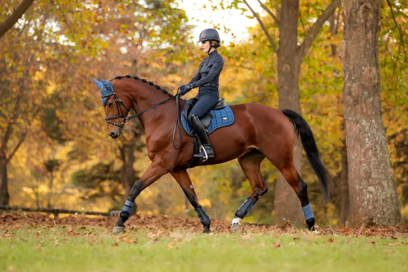 LeMieux Loire Classic GP Square Atlantic 1 LeMieux Loire Classic GP Square Atlantic