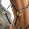 LeMieux Running Martingale Havana
