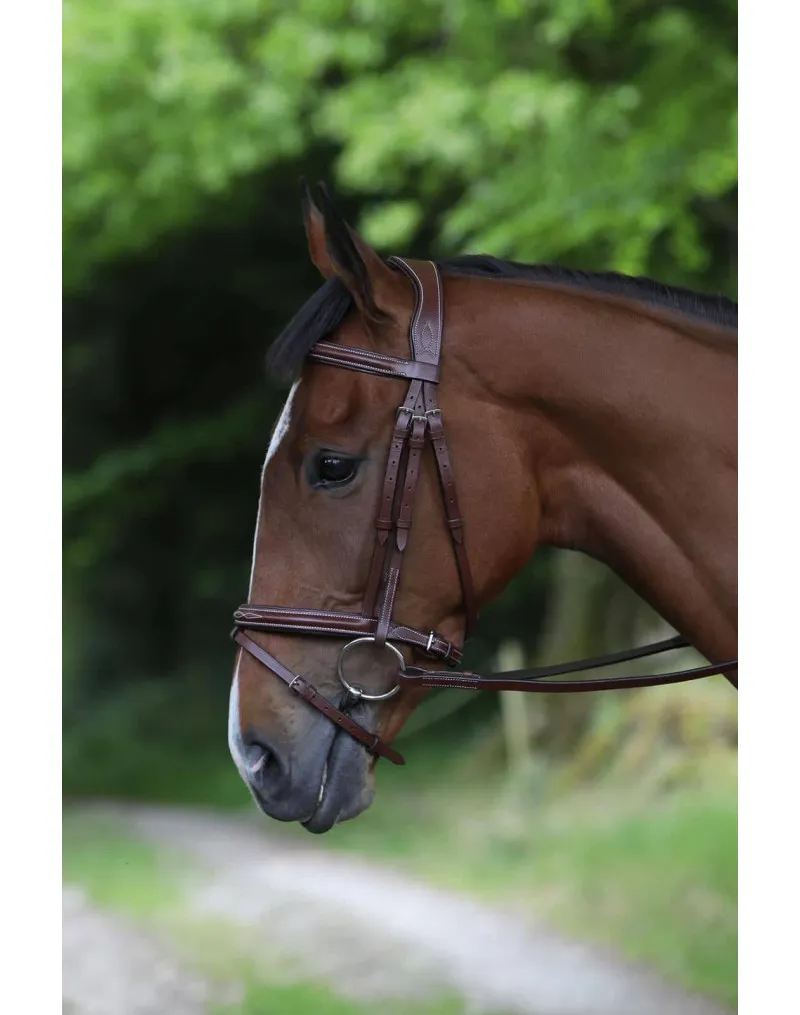 Celtic Equine Hickstead Bridle Brown 1 Celtic Equine Hickstead Bridle Brown