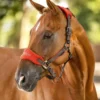 LeMieux Vogue Headcollar And Leadrope Sienna