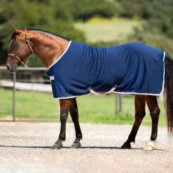 Amigo Jersey Rug X/Sur Navy