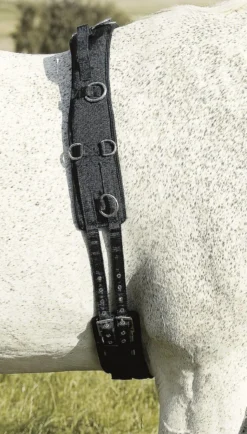 Celtic Equine Breaking Set Nylon Neoprene