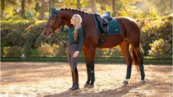 LeMieux Loire Classic Dressage Square Spruce -Fournitures Équestres Boutique it03276 lifestyle loireclassicdressagesquare spruce 10 2
