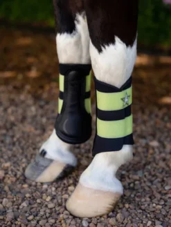 LeMieux Mini Brushing Boots Kiwi 8 LeMieux Mini Brushing Boots Kiwi -Fournitures Équestres Boutique kwiw3