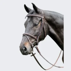 Prestige Leather Raised Bridle Black