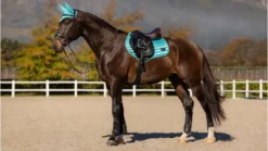 LeMieux Loire Classic Close Contact Square Azure -Fournitures Équestres Boutique lca1