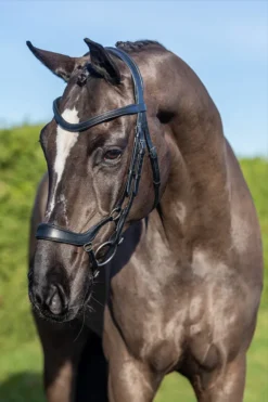 LeMieux Arika Drop Bridle Black/Silver