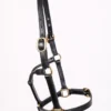 Celtic Equine Full Grain Leather Headcollar Brown