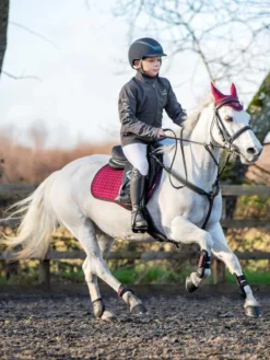 LeMieux Junior Pro Fetlock Boots Black -Fournitures Équestres Boutique lm juniorpropad burgundy3 hr 1