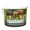 Mervue Equoboost Horse Lick 12.5kg