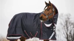 LeMieux Kudos Turnout Rug 200g -Fournitures Équestres Boutique med