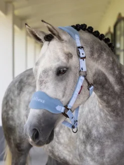 LeMieux Vogue Headcollar And Leadrope Mist