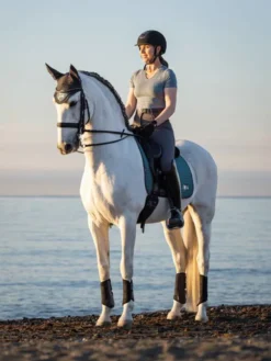 LeMieux Earth Fly Hood Ocean Large -Fournitures Équestres Boutique ocean4