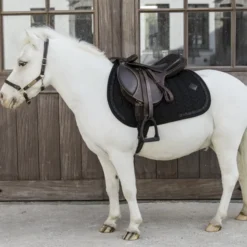 Kentucky Horsewear Kentucky Saddle Pad Glitter Stone Jumping Black Pony