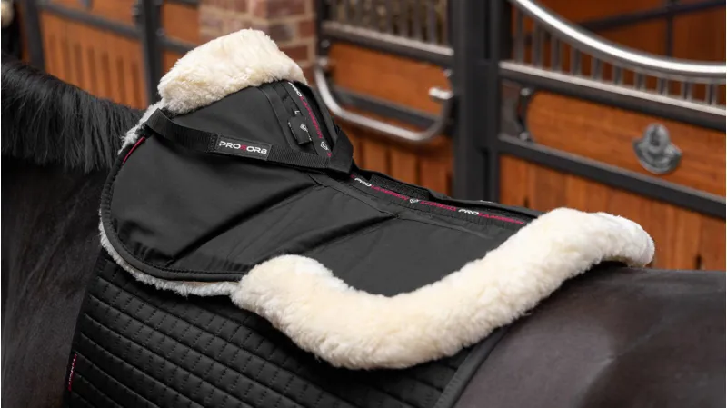 LeMieux ProSorb Lambskin 3 Pocket Half Pad Black/Black 1 LeMieux ProSorb Lambskin 3 Pocket Half Pad Black/Black