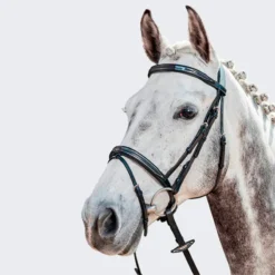 Prestige High-Line Bridle Black