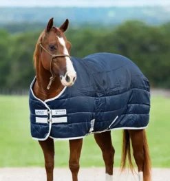 Amigo Insulator Rug Med Incl. Hood