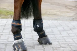 Kentucky Horsewear Kentucky Pastern Wrap Black 5 Kentucky Horsewear Kentucky Pastern Wrap Black -Fournitures Équestres Boutique pw 2