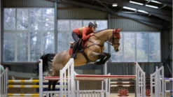 LeMieux Loire Classic Satin Close Contact Square Sienna -Fournitures Équestres Boutique satin20cc203