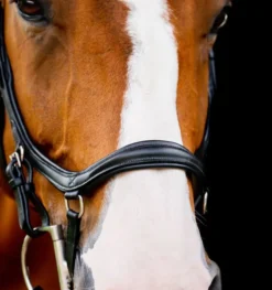 Horseware Micklem 2 Diamante Comp Bridle Black -Fournitures Équestres Boutique sbmrm0 k000 horseware micklem 2 diamante competition bridle 2