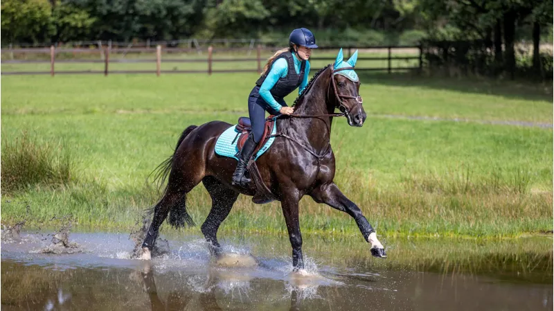 LeMieux Shoc Air XC Boots Black Hind