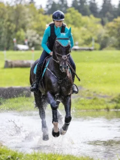 Fournitures Équestres Boutique -Fournitures Équestres Boutique sh4